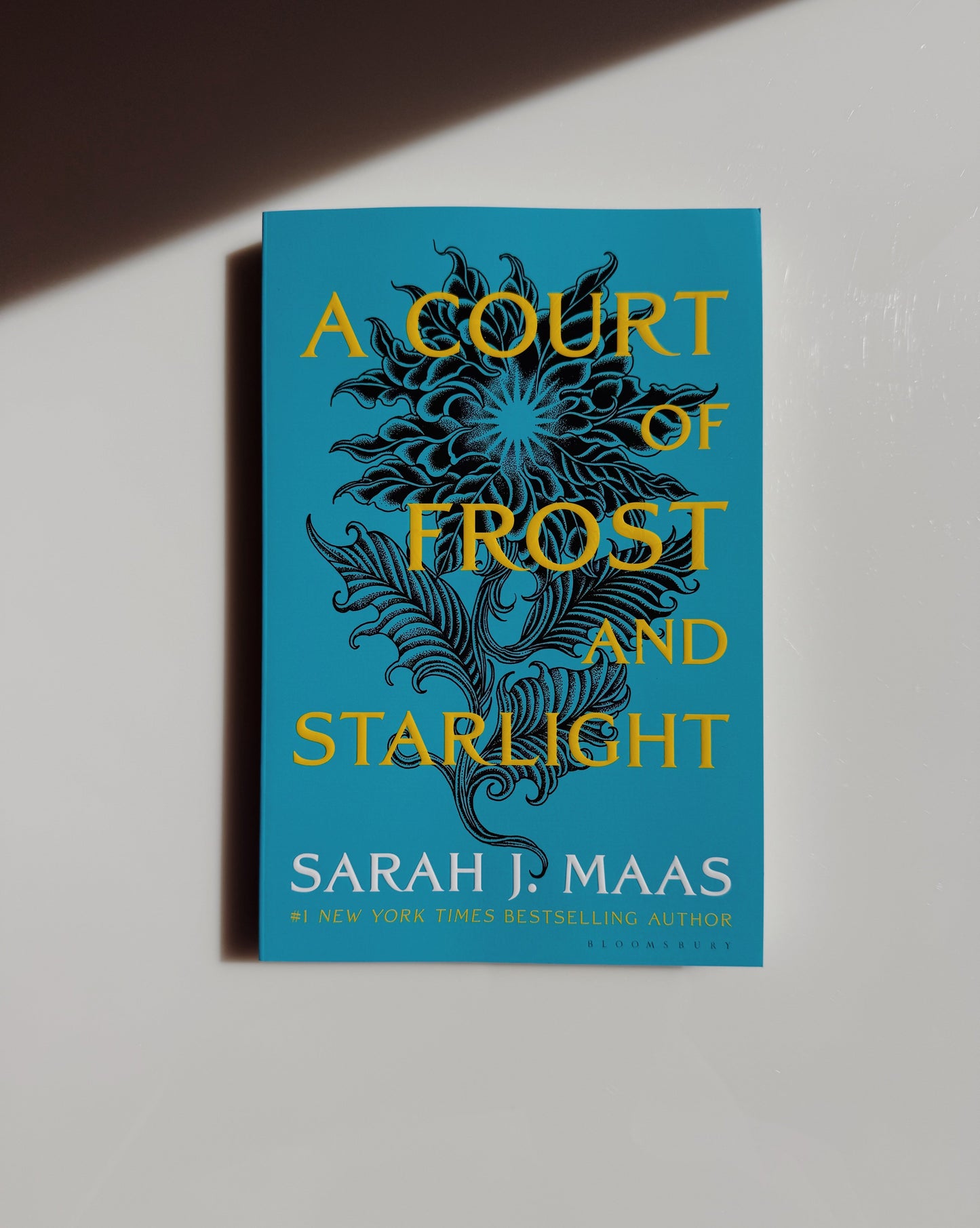 A Court of Frost and Starlight