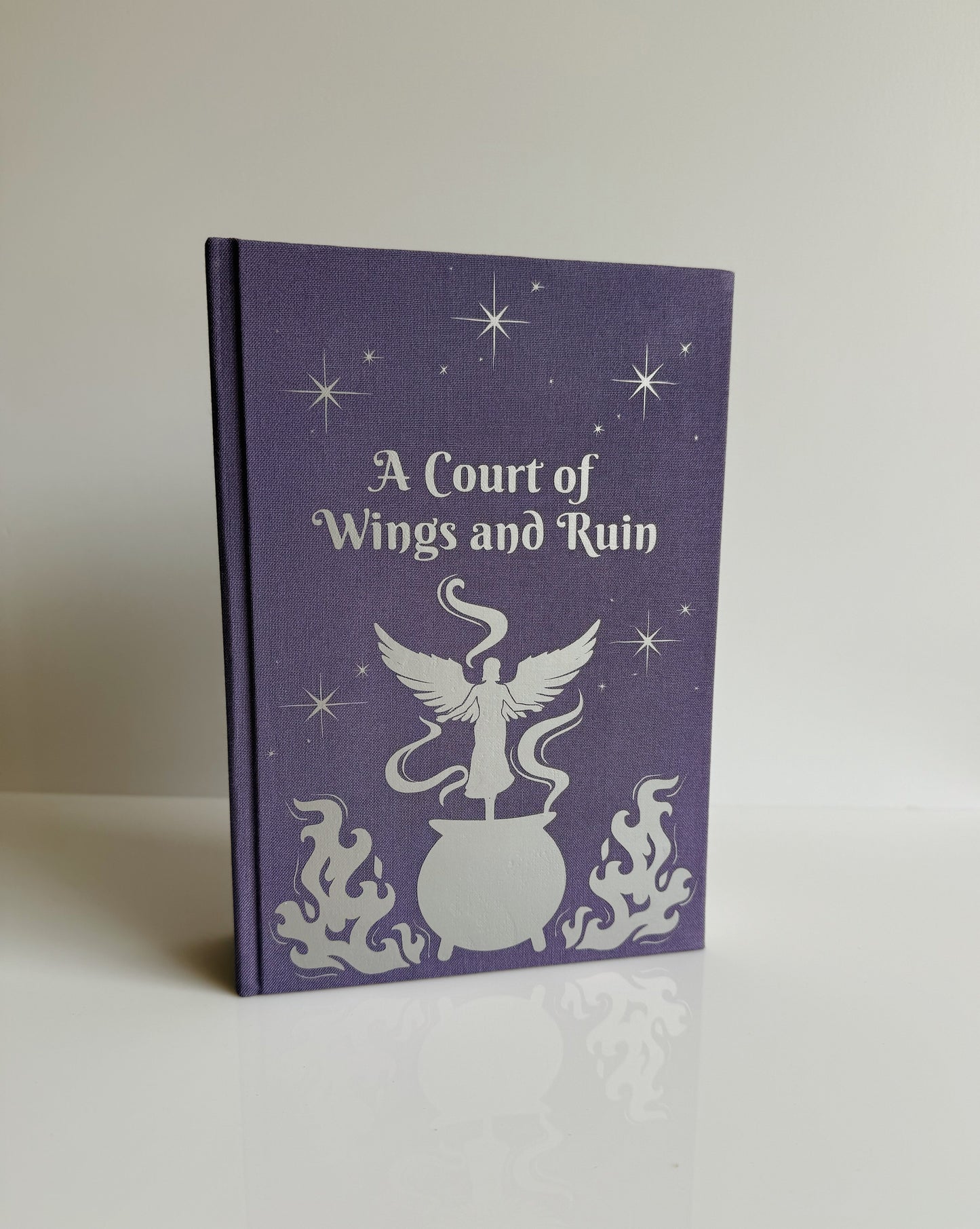Special Edition A Court of Thorns and Roses Rebound